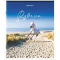 Тетрадь А5, 80 л., BRAUBERG, скоба, клетка, обложка картон, "By the Sea", 404410 404410