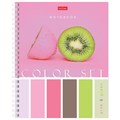 Тетрадь А5, 80 л., HATBER гребень, клетка, обложка картон, "Color Set" (4 вида в спайке), 80Т5В1гр 404491