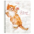 Тетрадь А5, 96 л., BRAUBERG, гребень, клетка, обложка картон, "Котики" (микс в спайке), 404425 404425