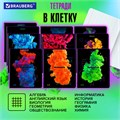 Тетради предметные, КОМПЛЕКТ 12 ПРЕДМЕТОВ, 48 л., глянцевый УФ-лак, BRAUBERG, "PIGMENT", 404834 404834
