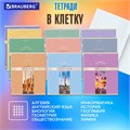 Тетради предметные, КОМПЛЕКТ 12 ПРЕДМЕТОВ, 48 л., обложка картон, BRAUBERG, "DELIGHT", 404606 404606