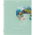 Тетради предметные, КОМПЛЕКТ 12 ПРЕДМЕТОВ, 48 листов, обложка картон, BRAUBERG, "ПАСТЕЛЬНАЯ", 404026 404026