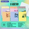 Тетради предметные, КОМПЛЕКТ 12 ПРЕДМЕТОВ, 48 листов, обложка картон, BRAUBERG, "ПАСТЕЛЬНАЯ", 404026 404026