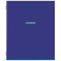 Тетради предметные, КОМПЛЕКТ 13 ПРЕДМЕТОВ, 36 л., обложка мелованная бумага, BRAUBERG, "КОЛОР", 405161 405161
