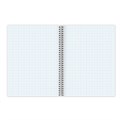Тетрадь В5 (175х248 мм), 80 л., BRAUBERG, гребень, клетка, обложка пластик, "ОФИС", 401796 401796