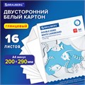 Картон белый А4 МЕЛОВАННЫЙ (белый оборот), 16 листов, в папке, BRAUBERG, 200х290 мм, 113561 113561