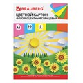 Картон цветной А4 МЕЛОВАННЫЙ (глянцевый), ФЛУОРЕСЦЕНТНЫЙ, 10 листов 5 цветов, в папке, BRAUBERG, 200х290 мм, "Лето", 129918 129918